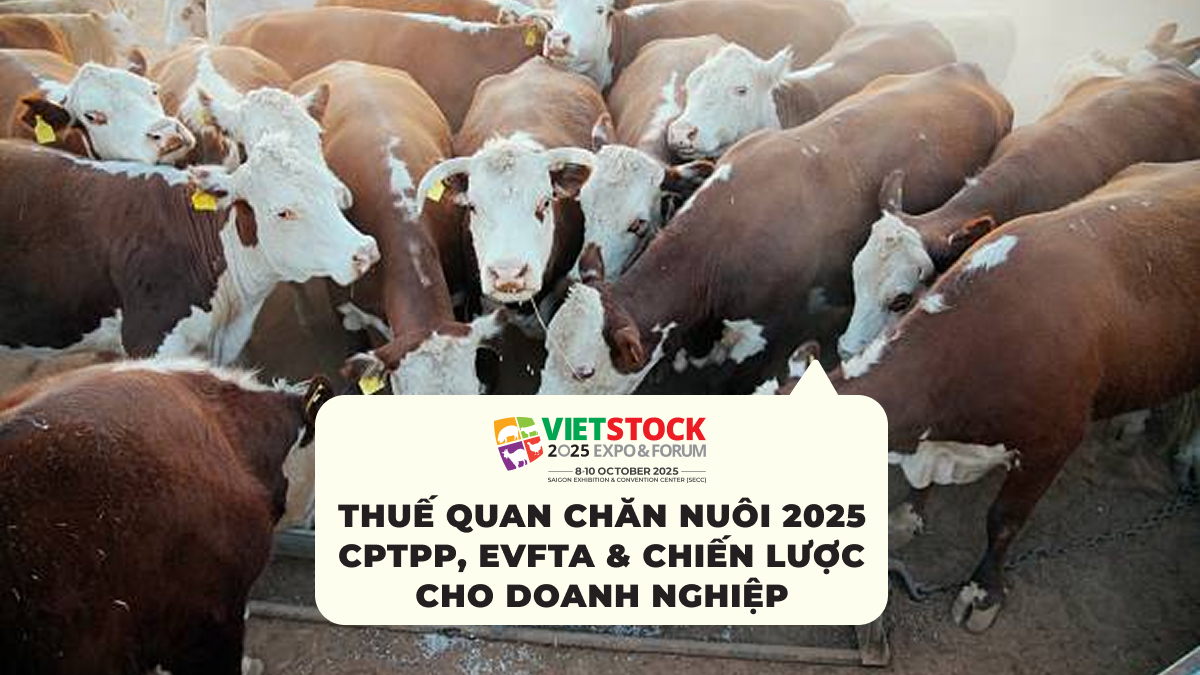 Thuế Quan Chăn Nuôi 2025 CPTPP, EVFTA & Chiến Lược Cho Doanh Nghiệp